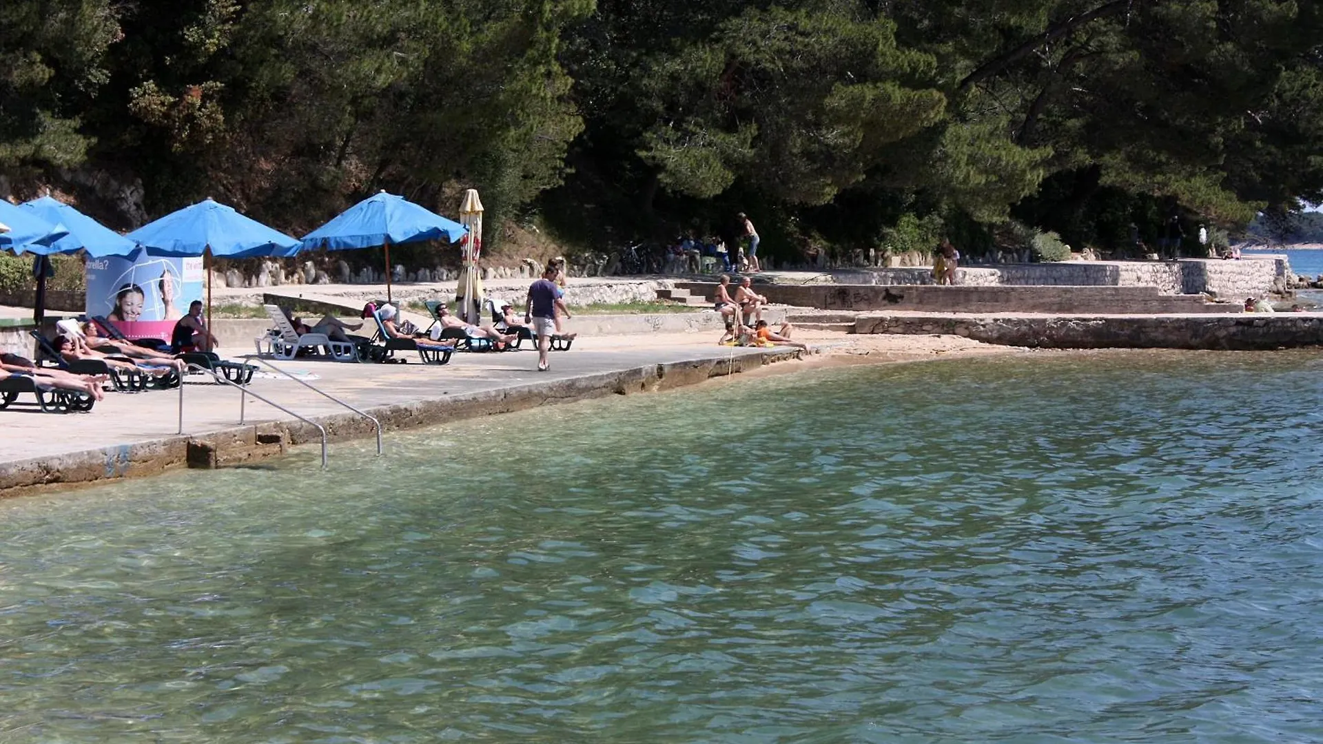 Luxury Villa With A Swimming Pool Palit, Rab - 22153 拉布